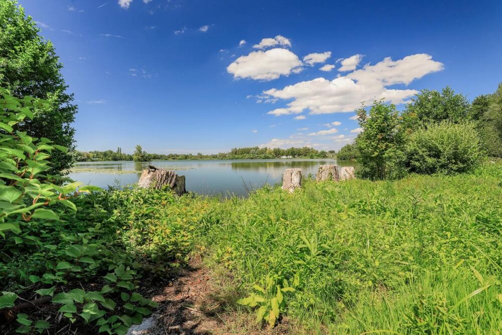 Vente Propriété/Château Maison de 350 m² sur 5900 m2 avec plan d'eau Mareuil caubert