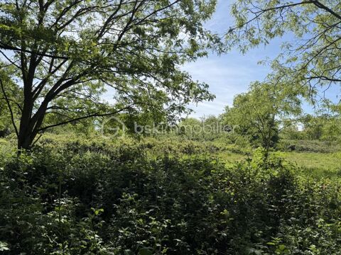   Le Mans – Grande parcelle non constructible de 10 138 m² 
