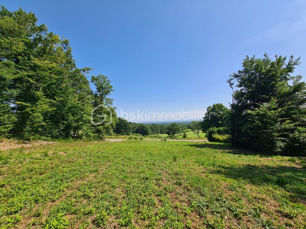 Vente Terrain A vendre Terrain de 26 ares -Vue sur le prestigieux Golf de Rougemont-le-chteau Rougemont le chateau
