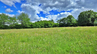  Terrain à vendre 24559 m²