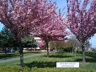  Appartement � vendre 5 pi�ces 81 m�