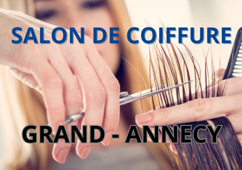 Commerces/Negoce 125000 74600 Annecy