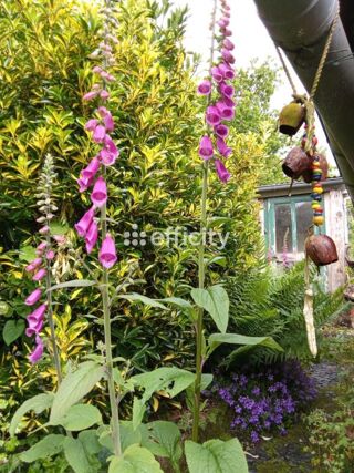  Maison � vendre 4 pi�ces 79 m�