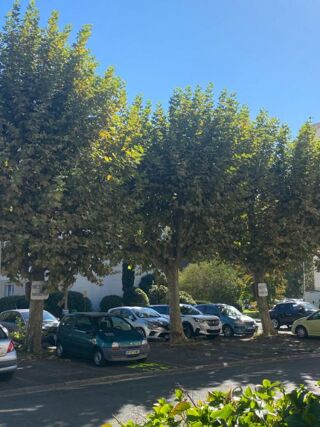  Appartement � vendre 3 pi�ces 80 m�