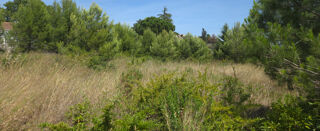  Terrain à vendre 1426 m²