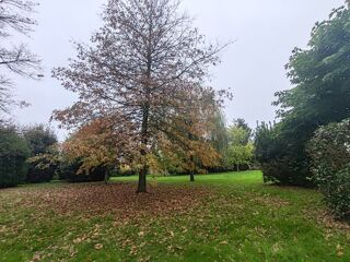  Propri�t�/ch�teau � vendre 12 pi�ces 334 m�