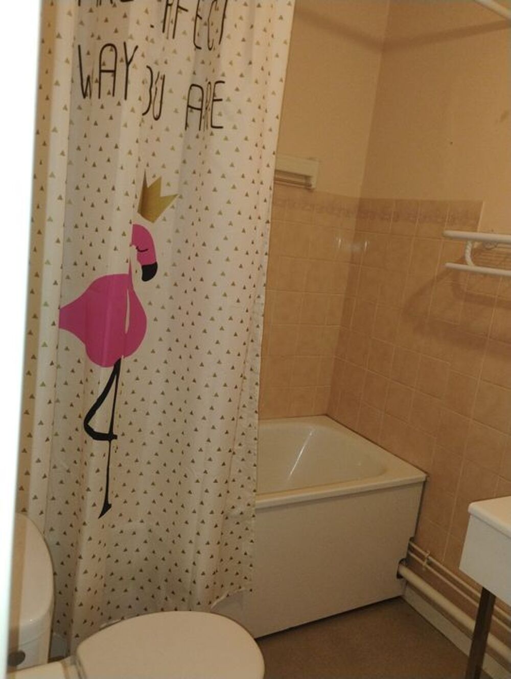 Location Appartement Studio de 26m2 à louer sur Rouen Rouen