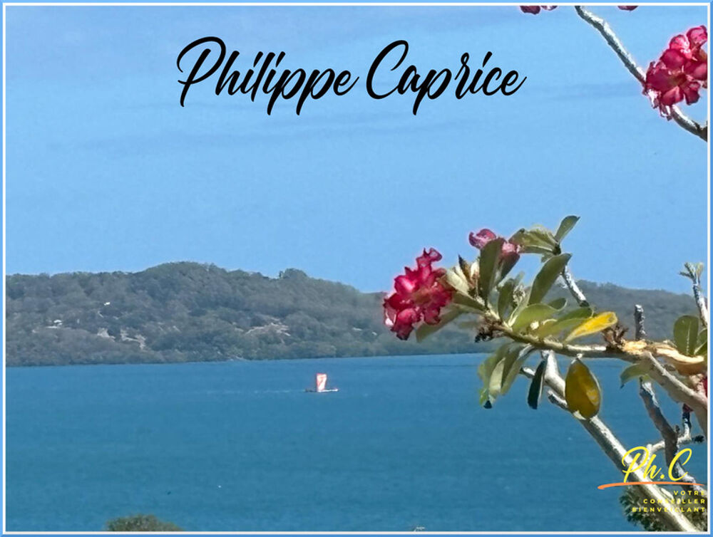 � vendre  Villa Le Robert (97231)