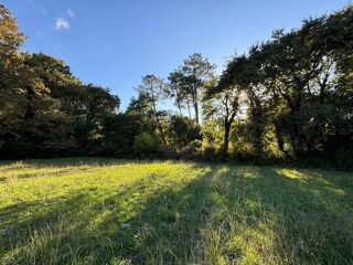  Terrain à vendre 800 m²