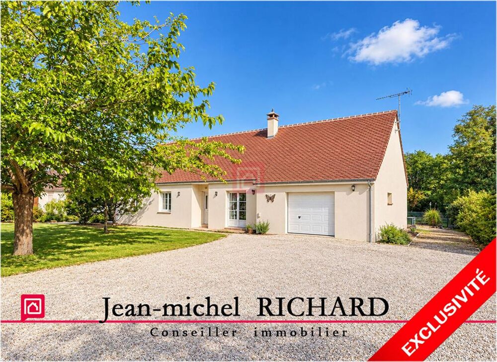 Maison Chatillon Sur Cher 5 pièce(s) 204 m2
