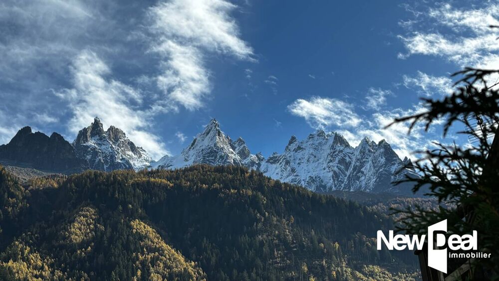  vendre  Chalet Chamonix-Mont-Blanc (74400)
