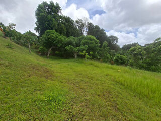  Terrain à vendre 4435 m²