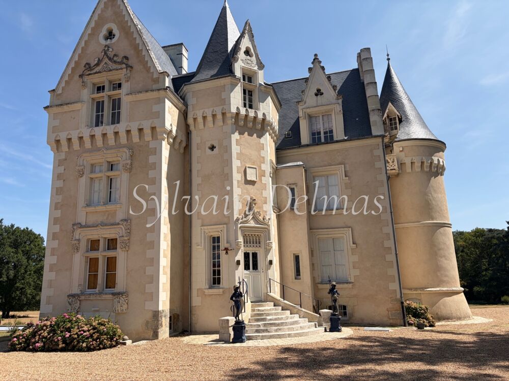 à vendre  Propriété/château Loches (37600)