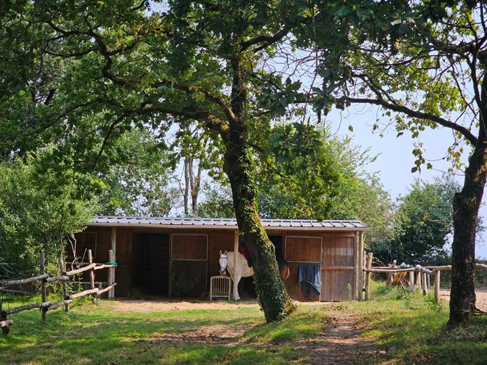  vendre  Maison Gurande (44350)
