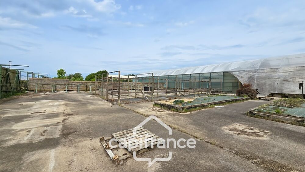 Vente Terrain VENTE TERRAIN 24 893 M²  (71) Gergy
