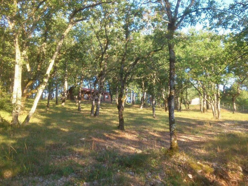  vendre  Proprit/chteau Loupiac (46350)