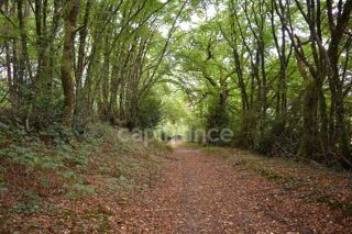  Propri�t�/ch�teau � vendre 3 pi�ces 66 m�