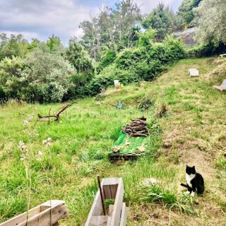  Appartement � vendre 4 pi�ces 65 m�