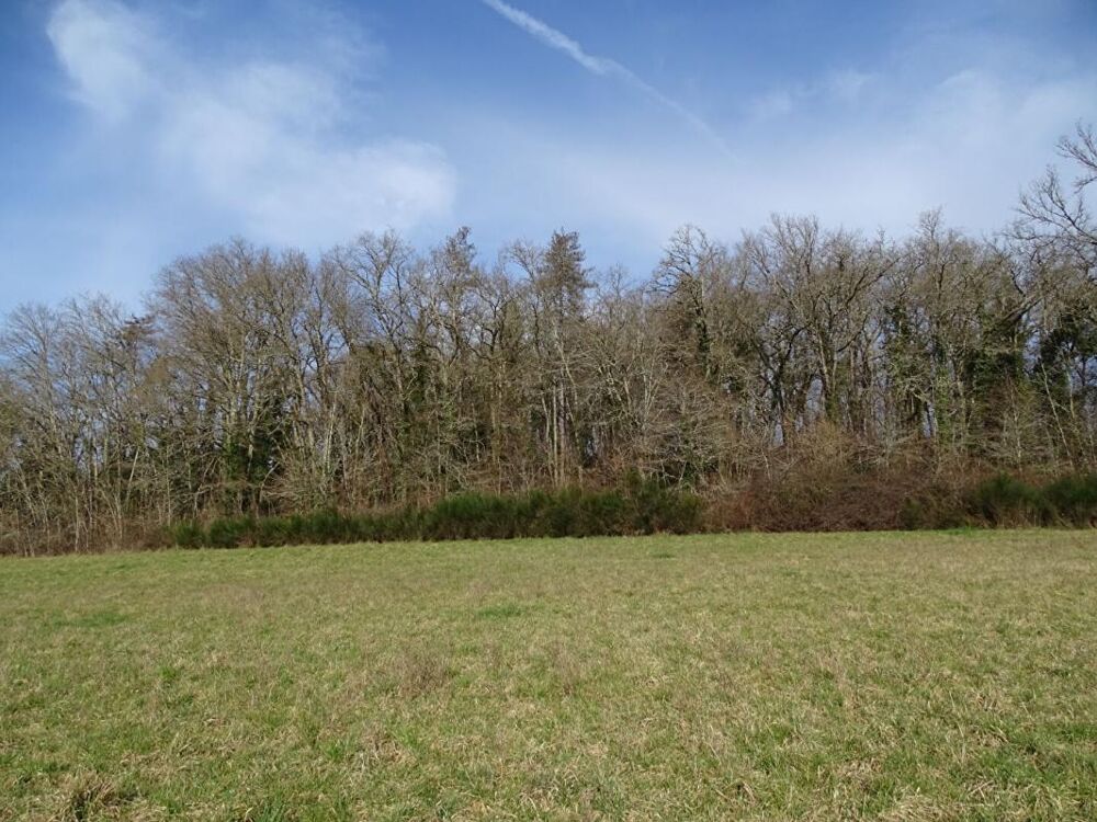 Vente Terrain Terrain Thonac 19000 m2 Thonac