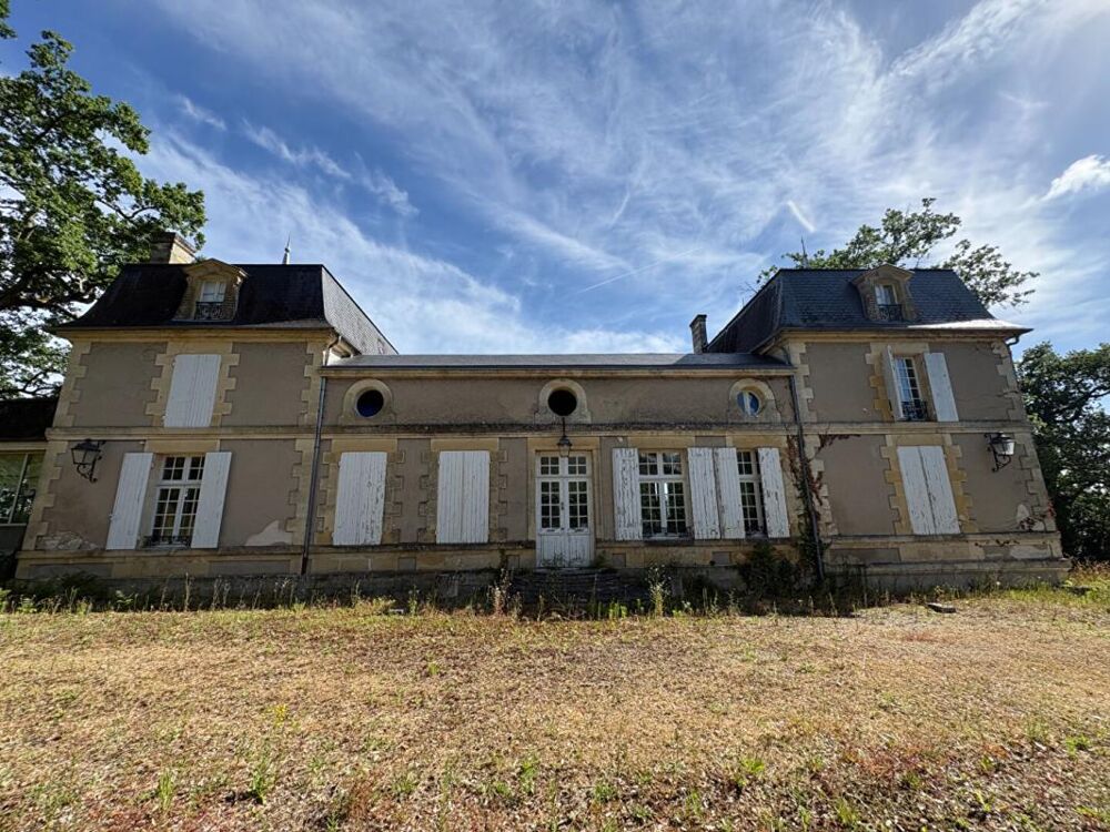 SUPERBE CHATEAU D'EXCEPTION À RÉNOVER ? VUE PANORAMIQUE SUR LA DORDOGNE