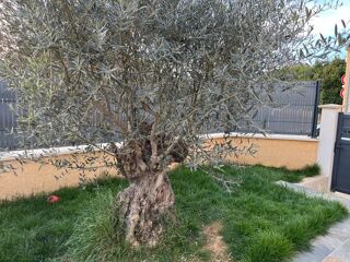  Maison � vendre 6 pi�ces 135 m�