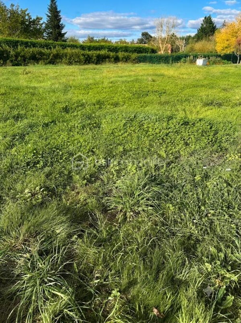 Vente Terrain Terrain viabilisé divisible et constructible avec permis accordé1553 m2 vue sur les Pyrénées-89 000€ FAI Bois de la pierre