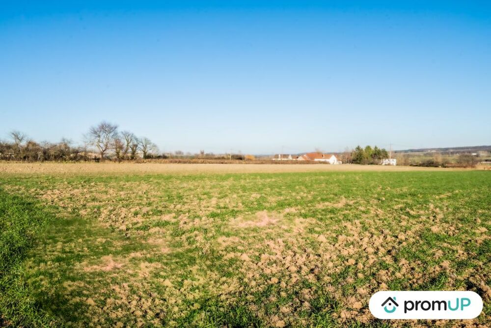 Vente Terrain Terrain non constructible de 3000m2 Creuzier le neuf