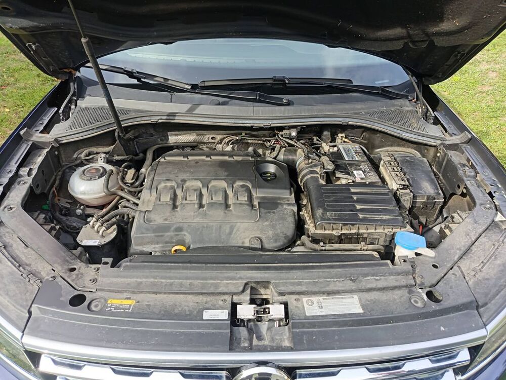Tiguan 2.0 TDI 150 DSG7 Match 2019 occasion 49124 Saint Barthelemy D Anjou