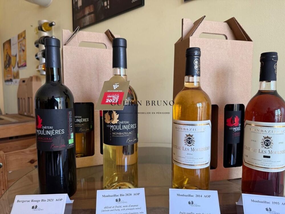 � vendre  Propri�t�/ch�teau Monbazillac (24240)