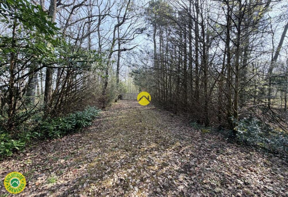 Vente Terrain Étangs en pleine nature Mareuil sur arnon