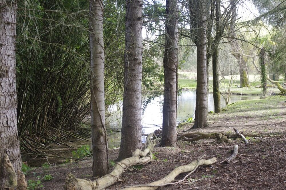 Vente Maison SAINT JEAN POUTGE 32, à vendre propriété de charme 8 pièces , dépendances et terrain arboré avec point d'eau Saint jean poutge