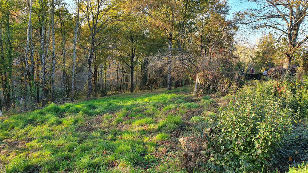 Vente Terrain Terrain 1800 m2 COSNAC Cosnac