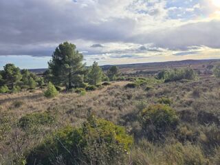  Terrain � vendre 8540 m�