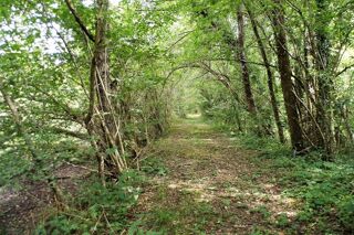  Terrain � vendre 464000 m�