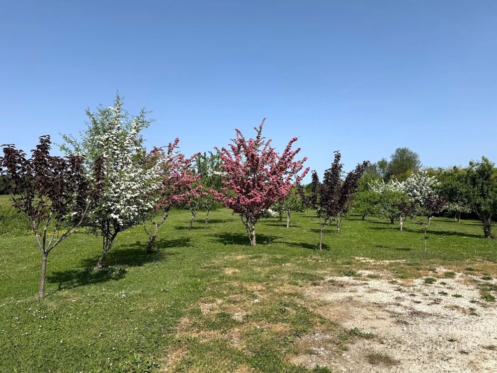 Propriété avec étang et 4,2 ha  Deux habitations modulables  Cadre naturel rare