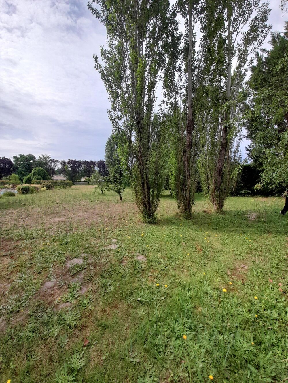 Vente Terrain Terrain de 400 m² libre de constructeur Saint andre de cubzac