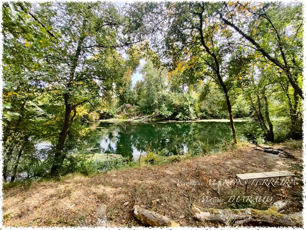 Vente Terrain ENSEMBLE FONCIER DE 8 008 M² AVEC ACCÈS DIRECT AU CHER – PREUILLY (18120) Preuilly