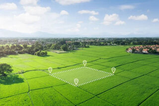  Terrain � vendre 1004 m�