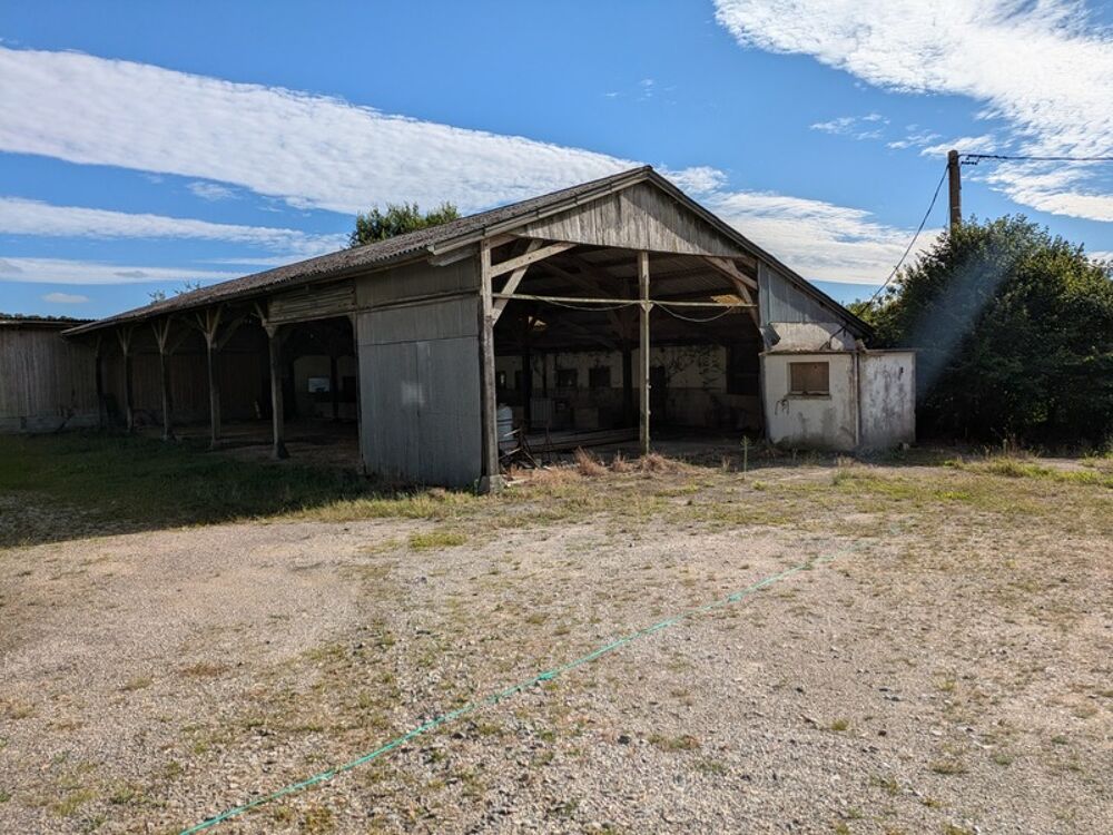 Vente Autre HANGAR DE 416M² ENVIRON ET ATELIERS DE 103M² ENVIRON PARCELLE DE 2800 m² ENVIRON Seglien
