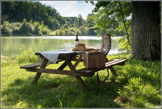  Maison � vendre 15 + pi�ces 470 m�