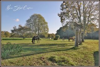  Propri�t�/ch�teau � vendre 10 pi�ces 360 m�