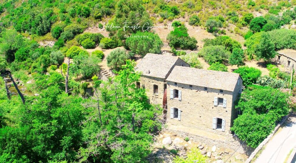 Ancien Moulin en Pierre avec dépendances sur près de 2,3 hectares  Santo-Pietro-di-Tenda