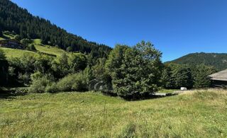  Terrain à vendre 770 m²