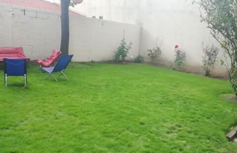  Appartement � louer 1 pi�ce 34 m�