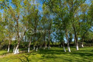  Propri�t�/ch�teau � vendre 8 pi�ces 253 m�