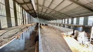  Propri�t�/ch�teau � vendre 4 pi�ces 2061 m�