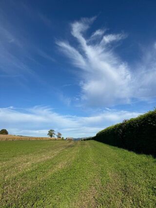  Terrain  vendre 6 pices 714 m