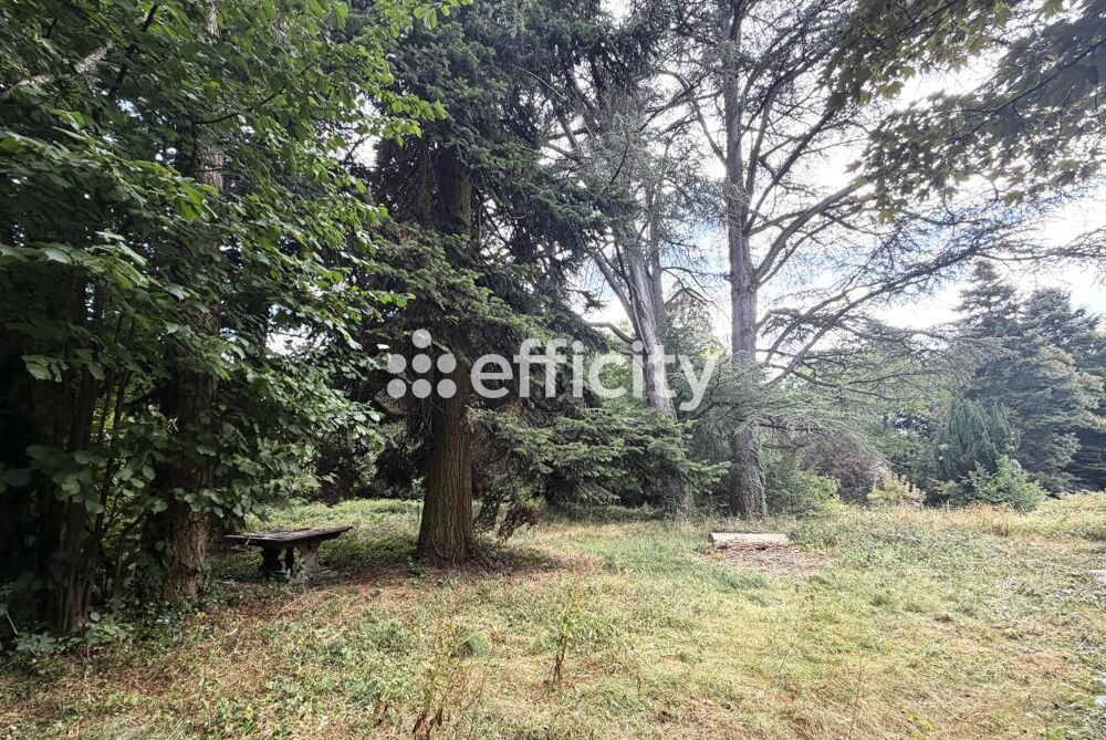 Vente Maison Maison Thizy les bourgs