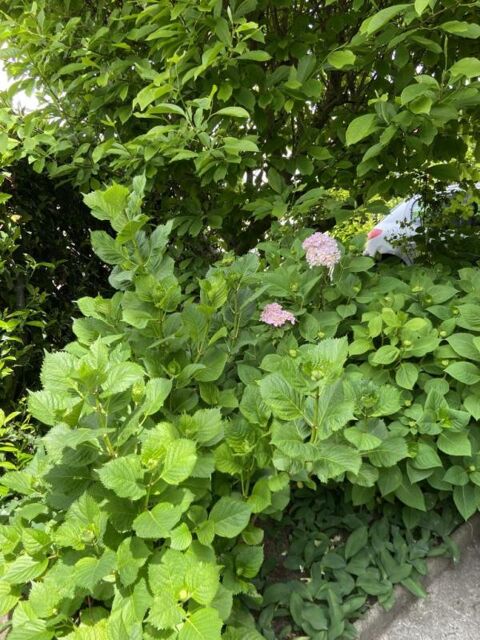  Maison  louer 4 pices 120 m