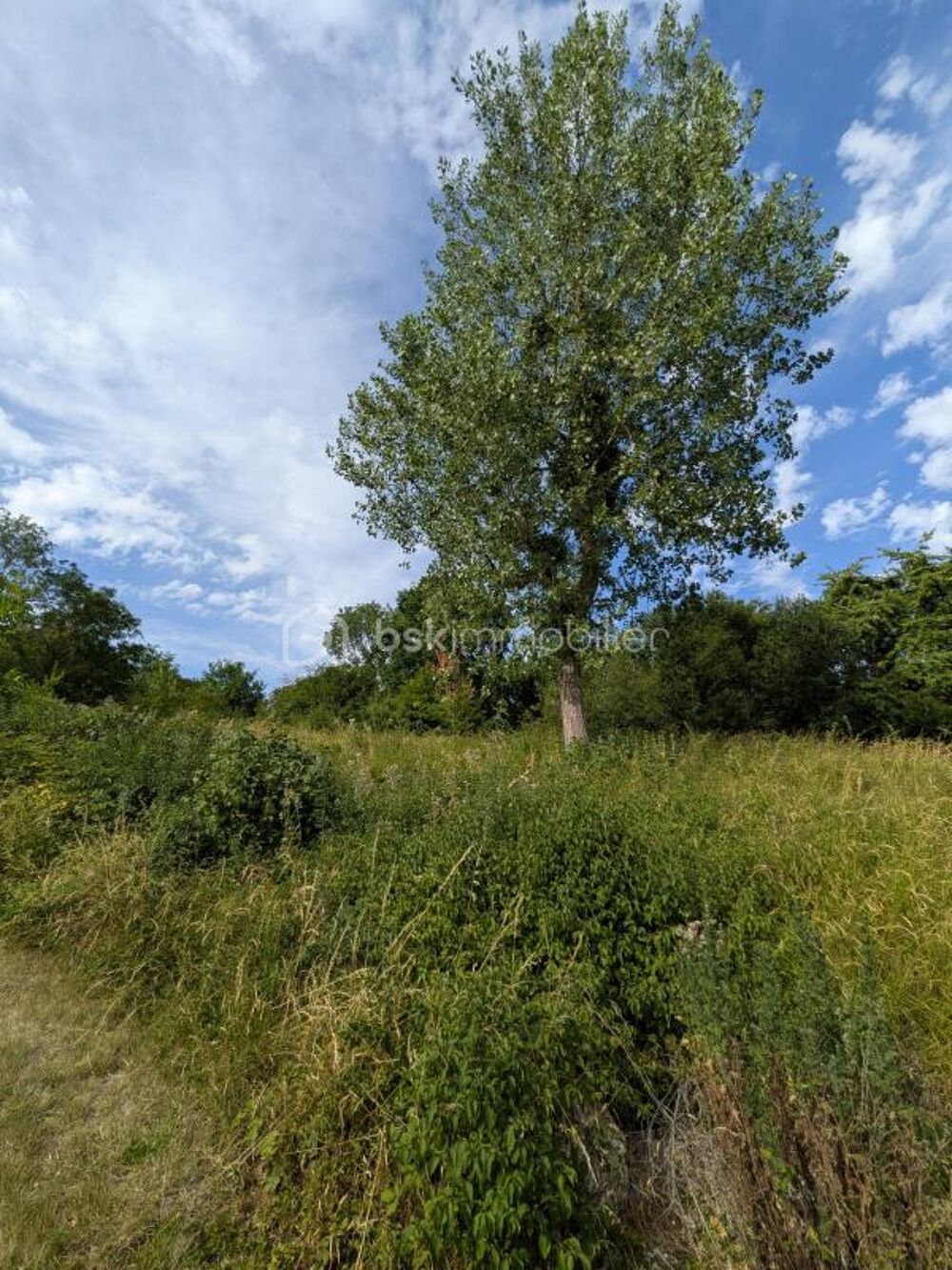 Vente Terrain Terrain constructible à Champillon Epernay